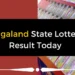 Nagaland State Lottery Sambad Result